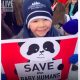 abortion pill reversal
