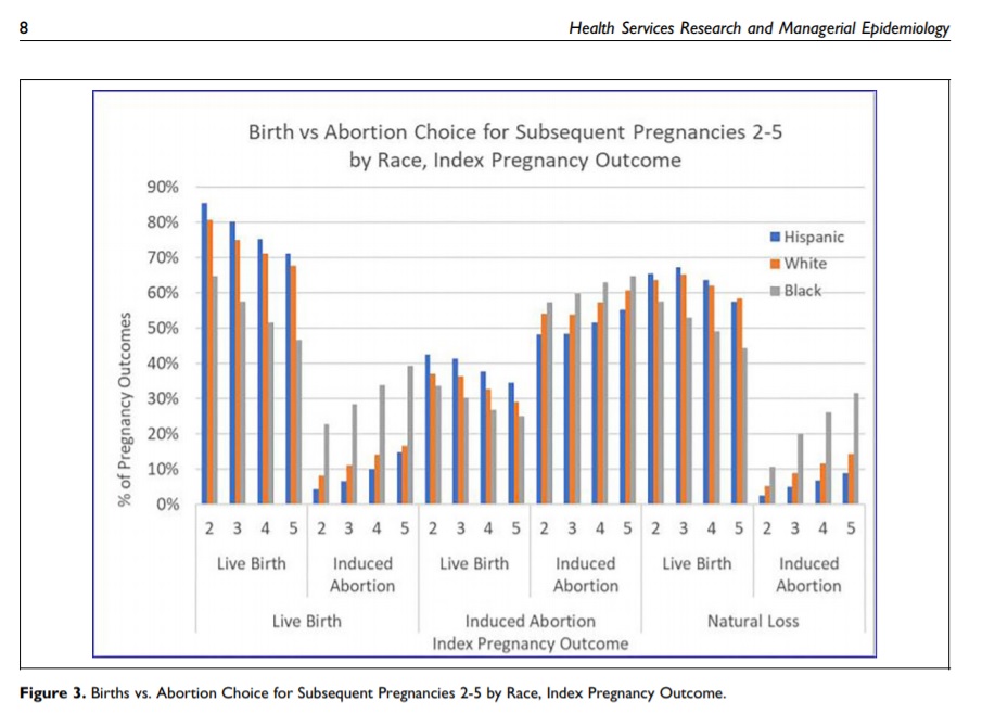 Image: Birth v Abortion and subsequent pregnancies by race
