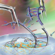 Crispr