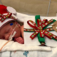 Christmas, NICU, preemies, premature