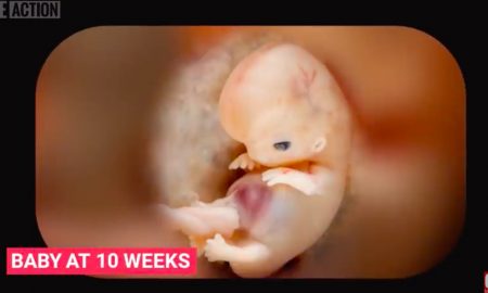 10 weeks, pro-life, exceptions, abortion pill