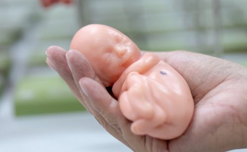 Oklahoma House passes high school curriculum bill that could utilize ‘Baby Olivia’