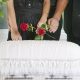 burial, miscarriage, euthanasia, Canada
