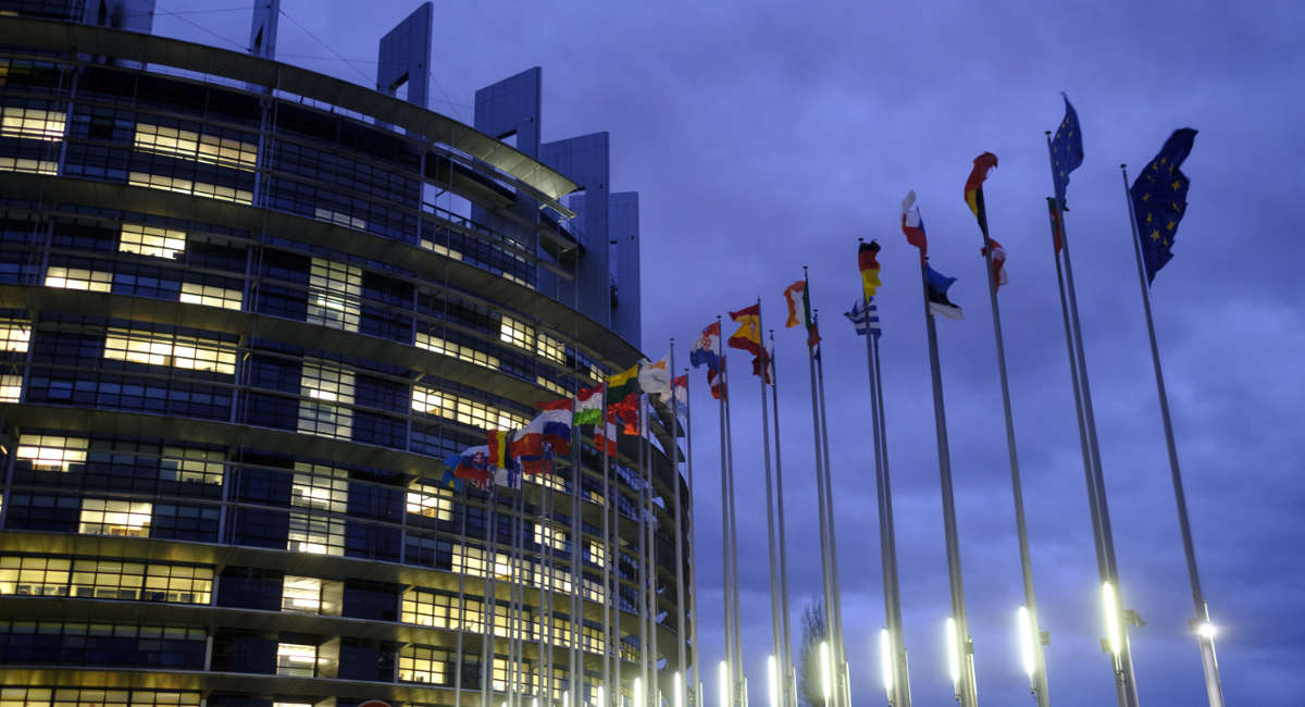 Doctors for Life, European Union, European Parliament, EU