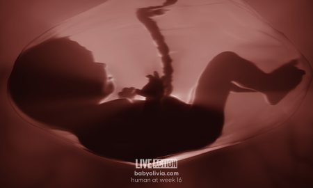 abortion, Baby Olivia, Florida, 15 weeks, 15 week abortion
