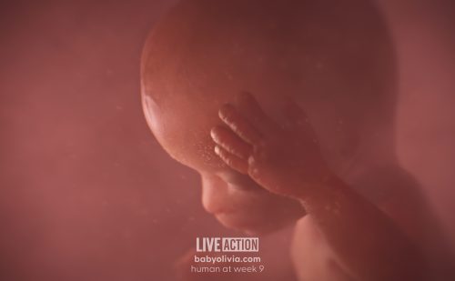 NowThis calls ‘Baby Olivia’ video ‘creepy’ but promotes LGBTQIA+ books for kids