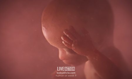 Baby Olivia, pro-life
