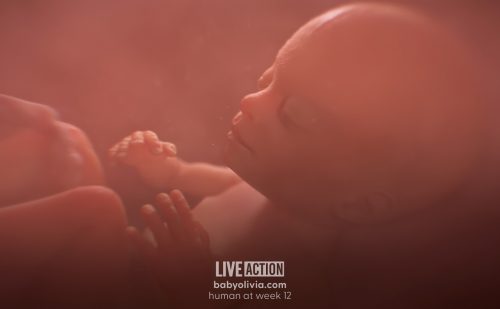 Live Action’s Baby Olivia reaches a major milestone