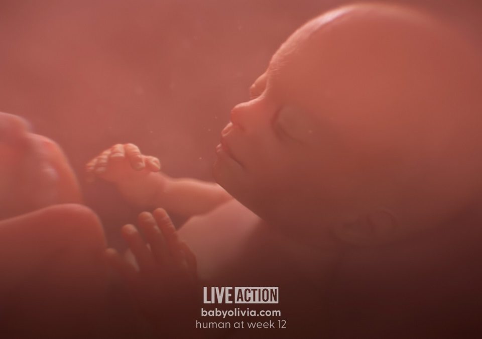 Live Action’s Baby Olivia reaches a major milestone