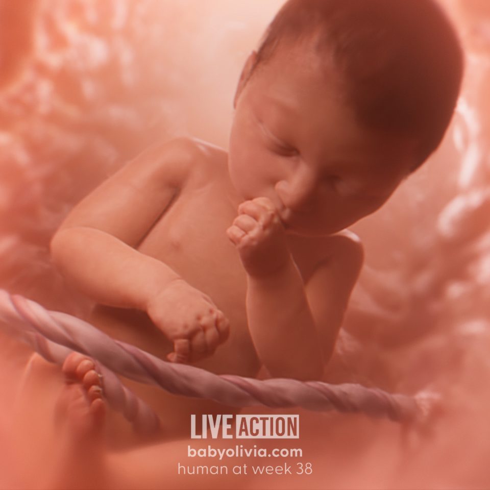 Hit piece against ‘Baby Olivia’ warns viewers not to be ‘seduced by the facts’