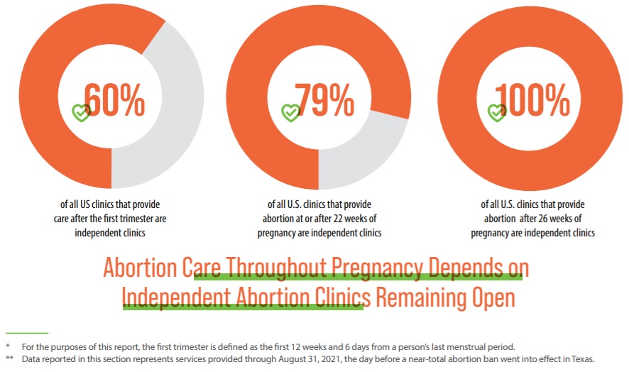Image: Majority of late abortions committed by independent abortion clinics (Graph: Abortion Care Network ACN)