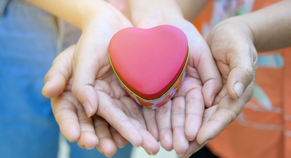 adoption, rape, foster, pregnancy, life, adoptions
