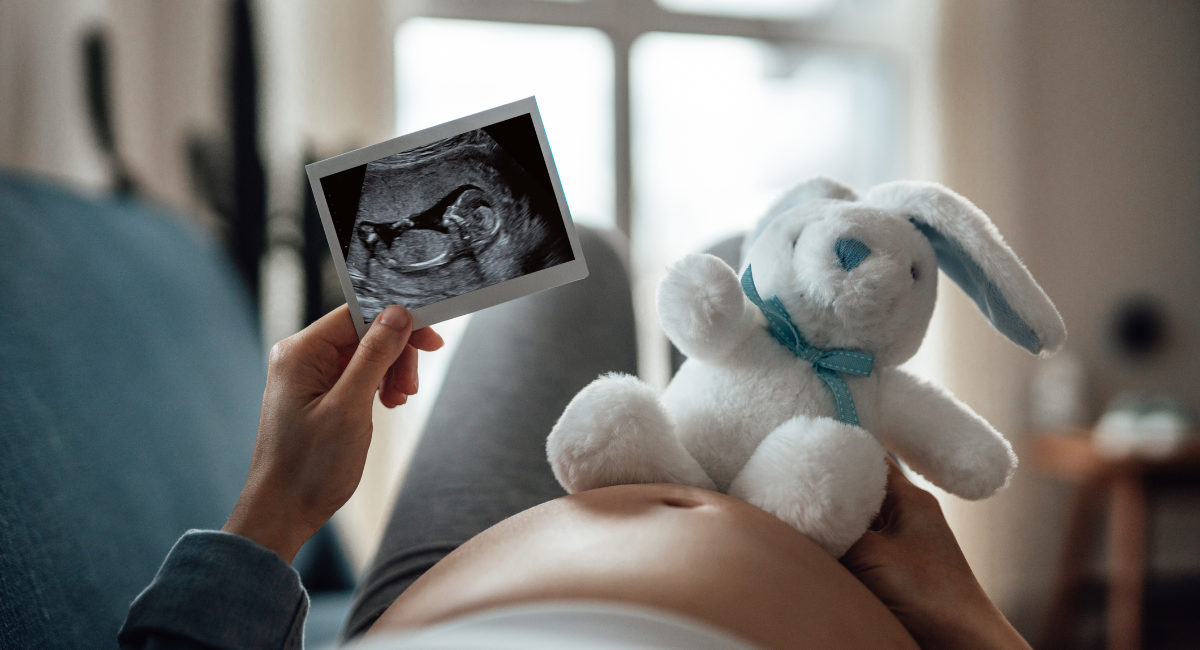 pregnancy, ultrasound