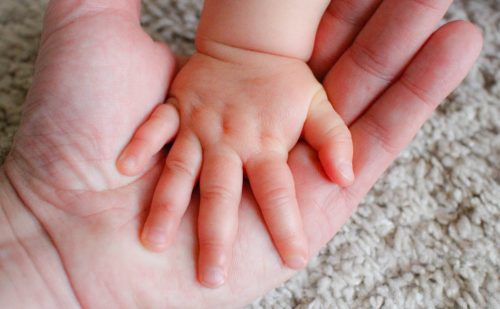 Tennessee pregnancy center establishes adoption agency