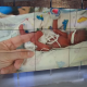 preemie