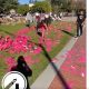 pro-life, California Polytechnic University