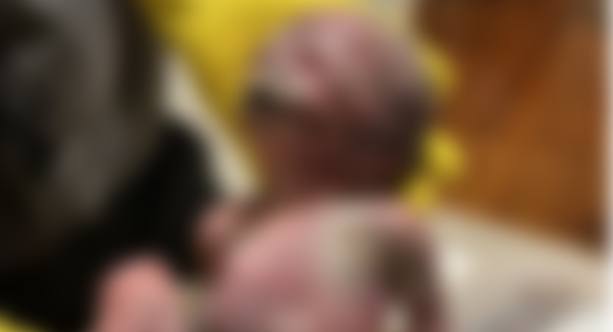 abortion, viability, late abortion, abortion amendments, justice for the five