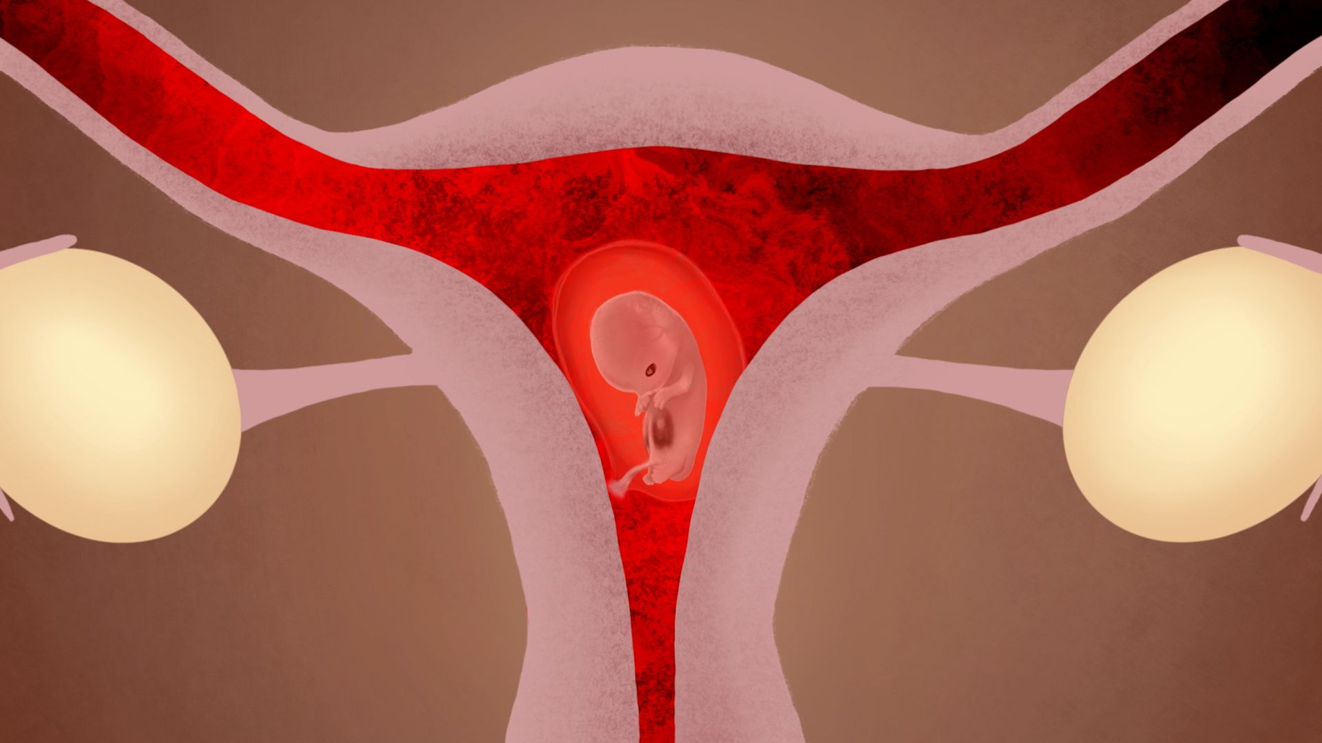 abortion pill screenshot