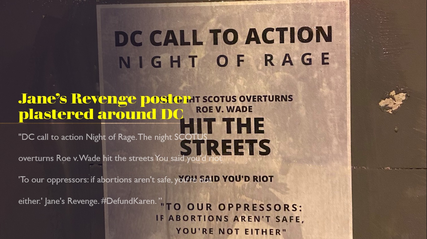 Janes Revenge posters seen in DC