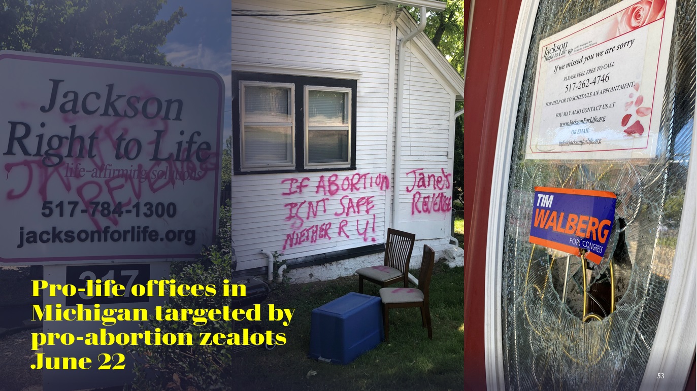 Image: Pro-life offices in Michigan targeted June 22 by pro-abortion zealots carrying out Janes Revenge orders