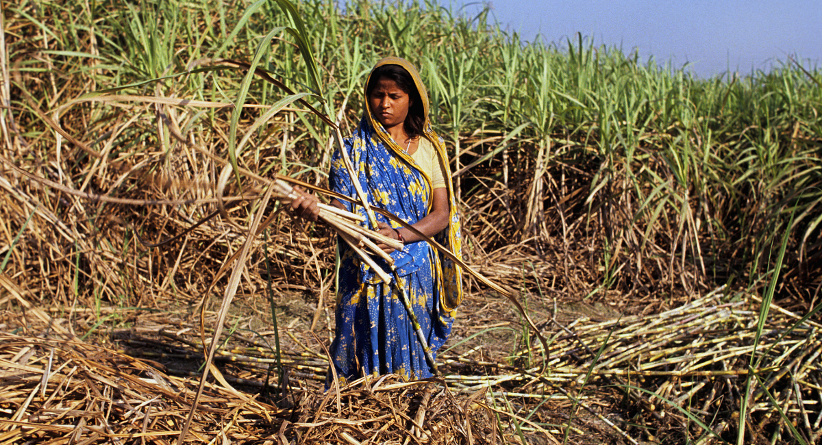 India