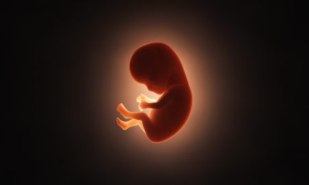 IVF
