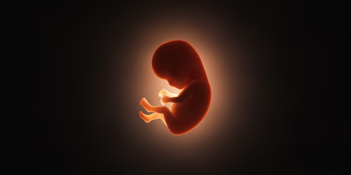 IVF
