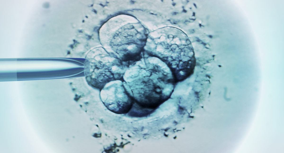IVF, embryo, embryos