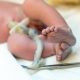 baby, newborn