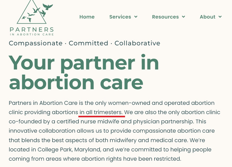 Image: Partners in Abortion Care all trimester abortions 051223