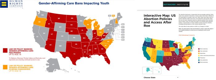 States that protect and limit abortion and transgender confusion services (Maps from Human Life Campaign and Guttmacher Institute)