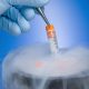 frozen embryo, embryos, embryo