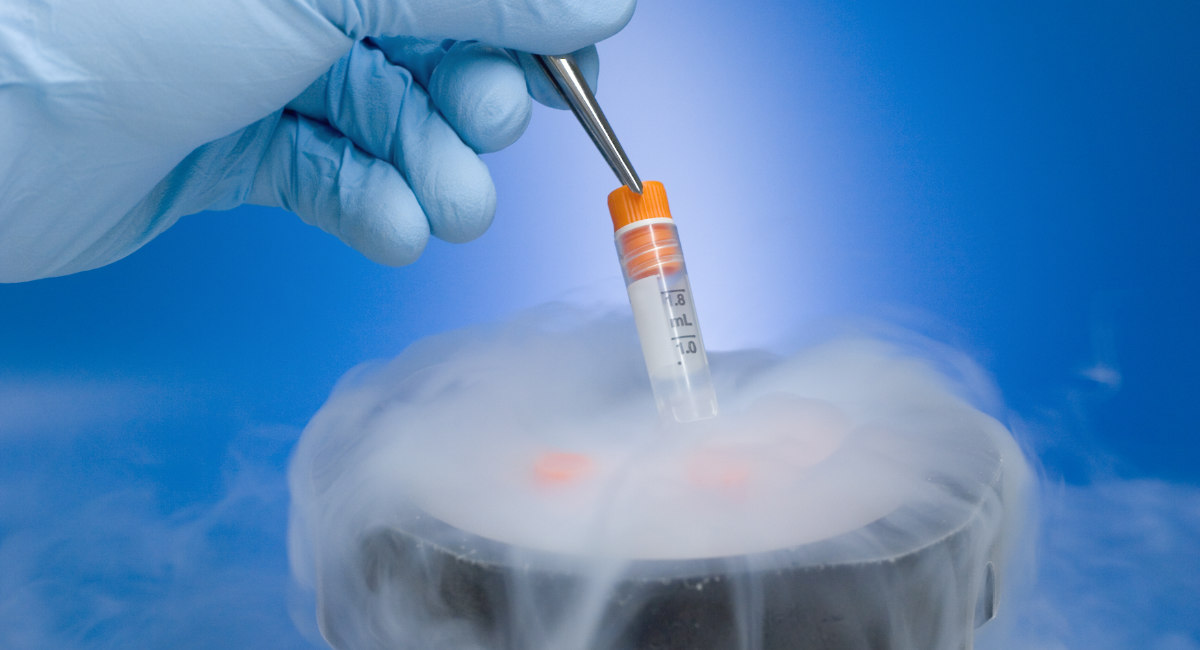 frozen embryo, embryos, embryo