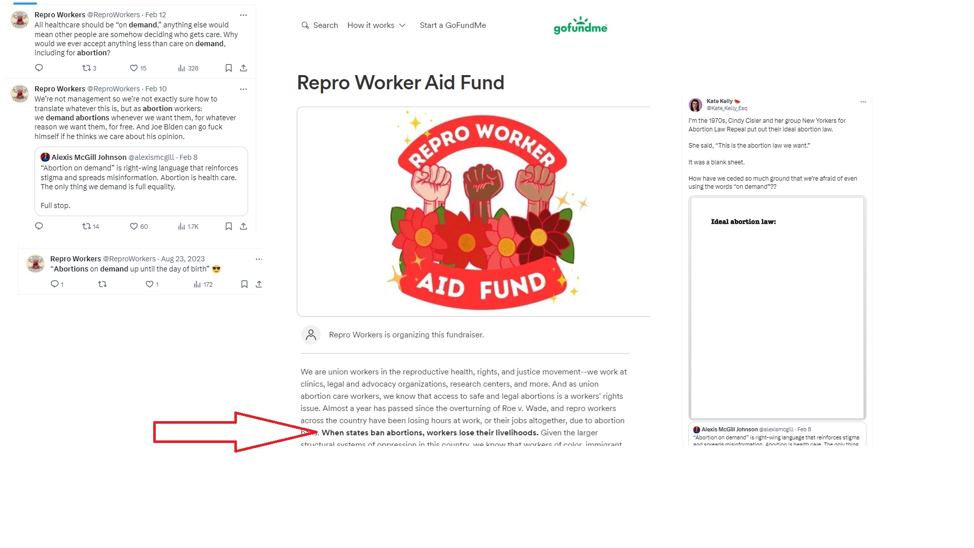 ReproWorker tweets Abortions on Demand until day of birth (Images: Twitter "X" and GoFunbdMe)