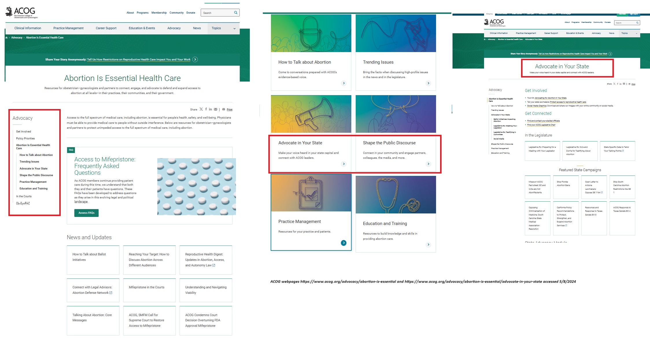 ACOG advocates for abortion websites accessed 050824