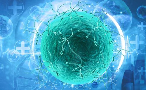 Doctor calls for new sperm donor rules as 10 children are diagnosed with cancer