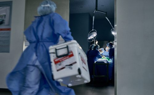 HHS finds organ procurement abuses, with ‘brain death’ no longer required first
