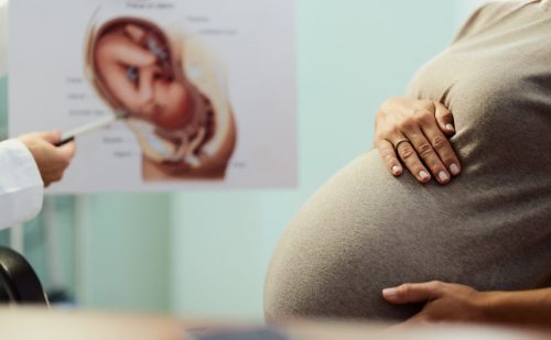 OPINION: Recognizing that only females get pregnant isn’t offensive. It’s biology.