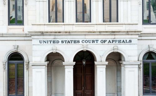 ‘Domain of the states’: Appeals court says states can regulate abortion pill