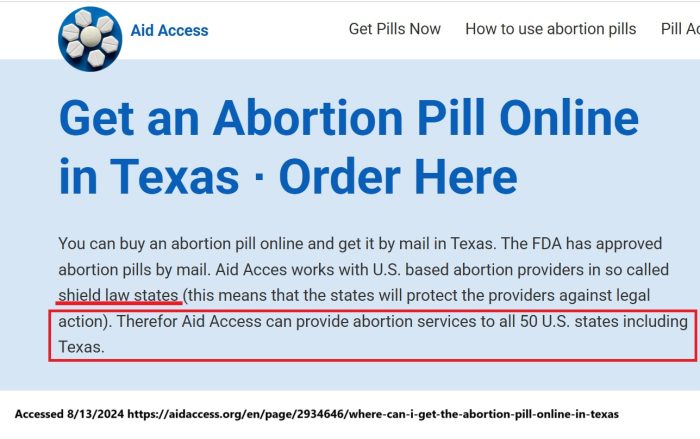 Aid Access website exploits shield laws to ship abortion pills