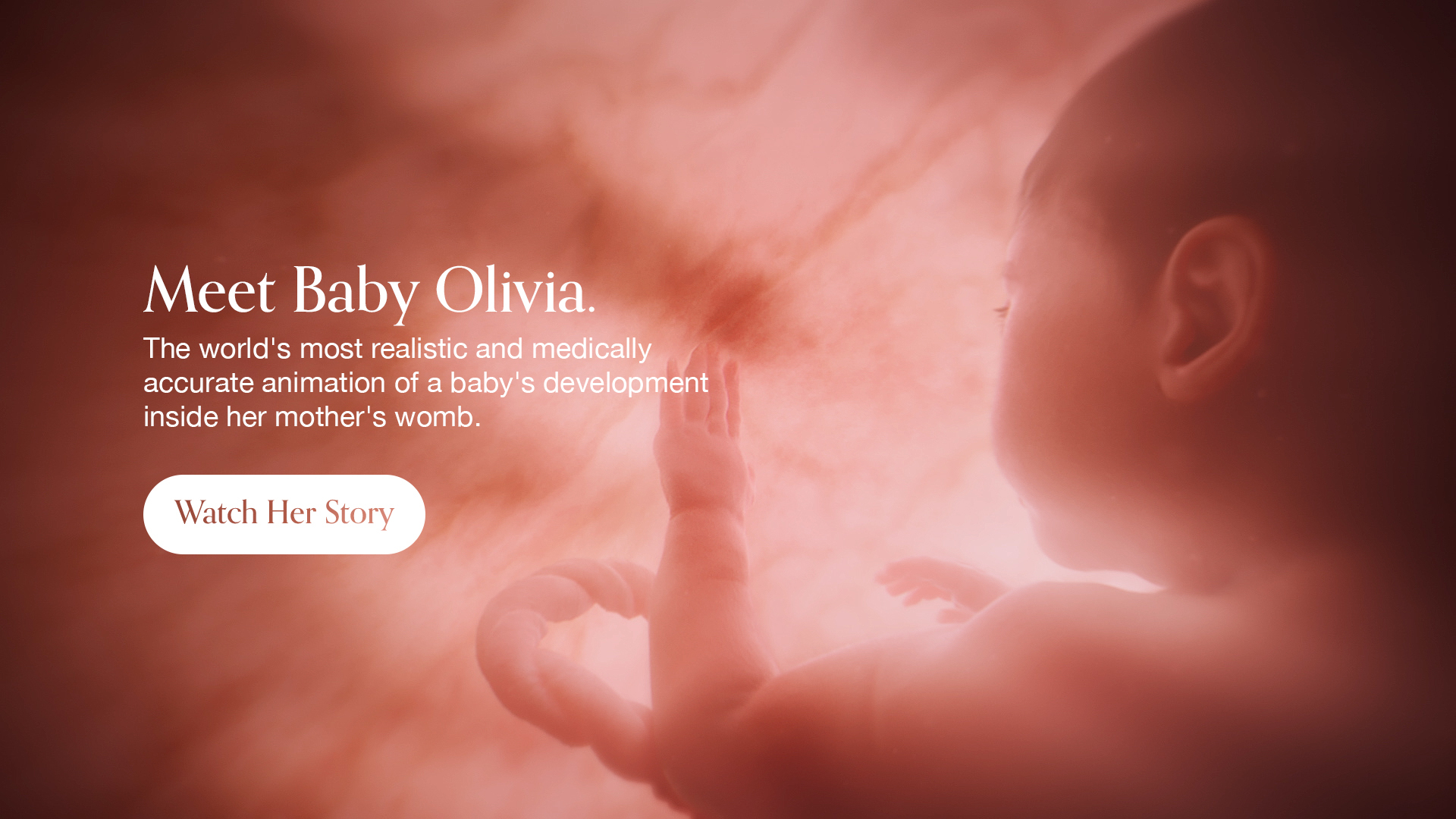 Interesting video showing fetal development