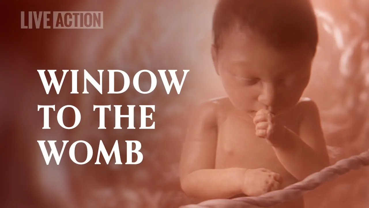 Window to the Womb