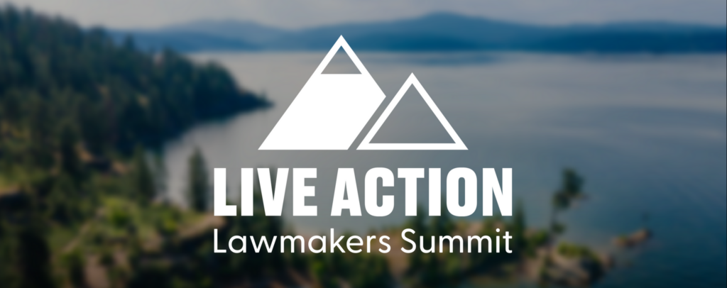 Screenshot 2025-08-06 at 15-07-58 Summary - Live Action Lawmakers Summit 2025